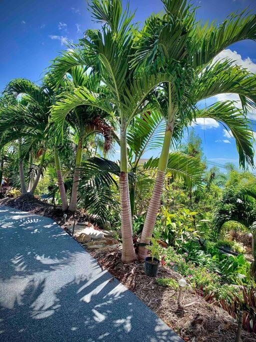 Whitsunday Dreams Apartment Airlie Beach Exterior photo